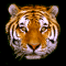 Guardian Tiger