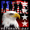 Ass Kickin' Veterans Day!