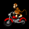 Funky Monkey Ride